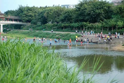 深圳龙园