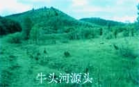 牛头河