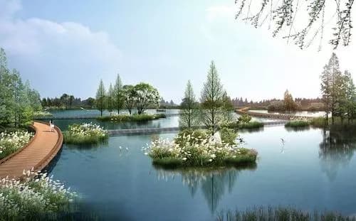 湖北金沙湖国家湿地公园