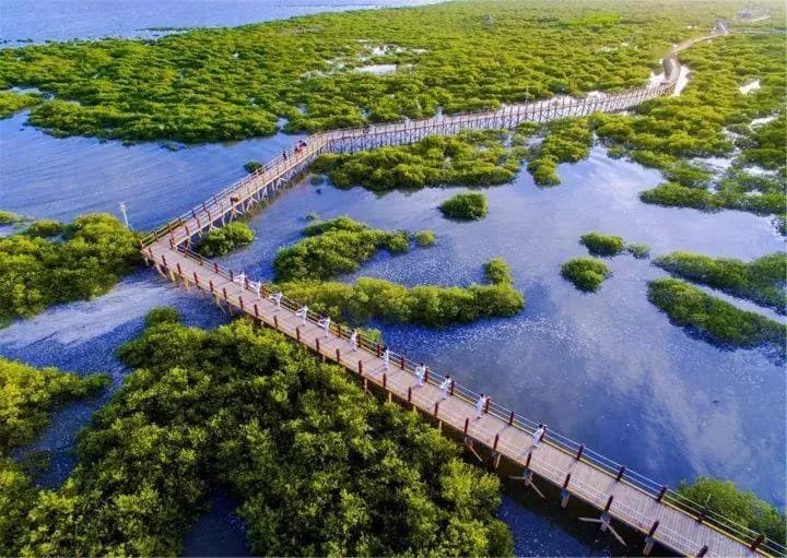 金海湾