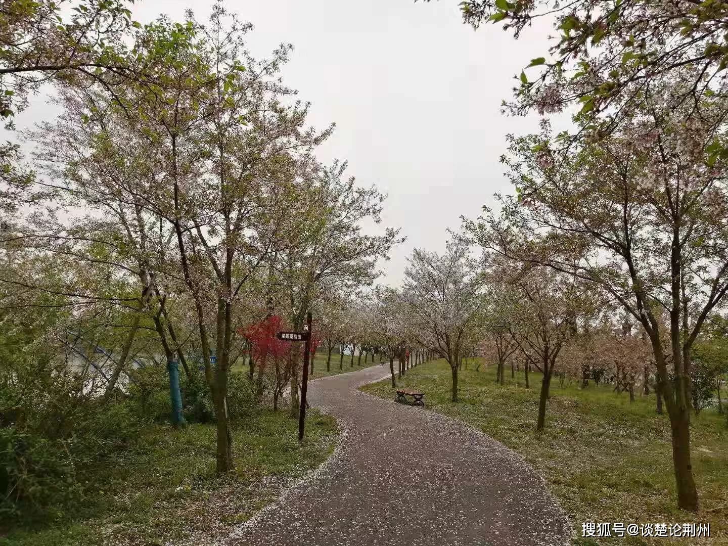 荆州、绿嶂太阴宫壁画