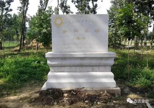 魏家庄墓群