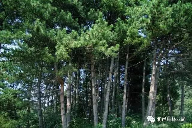 石门山