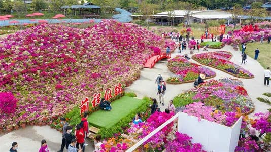 百花景区