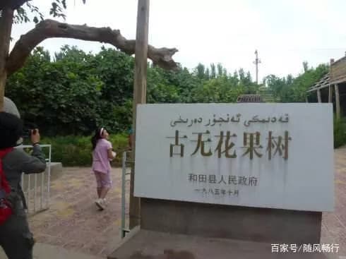 沙漠公路
