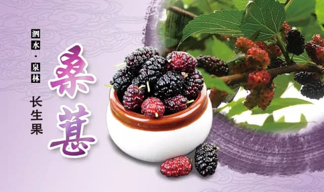 龙山