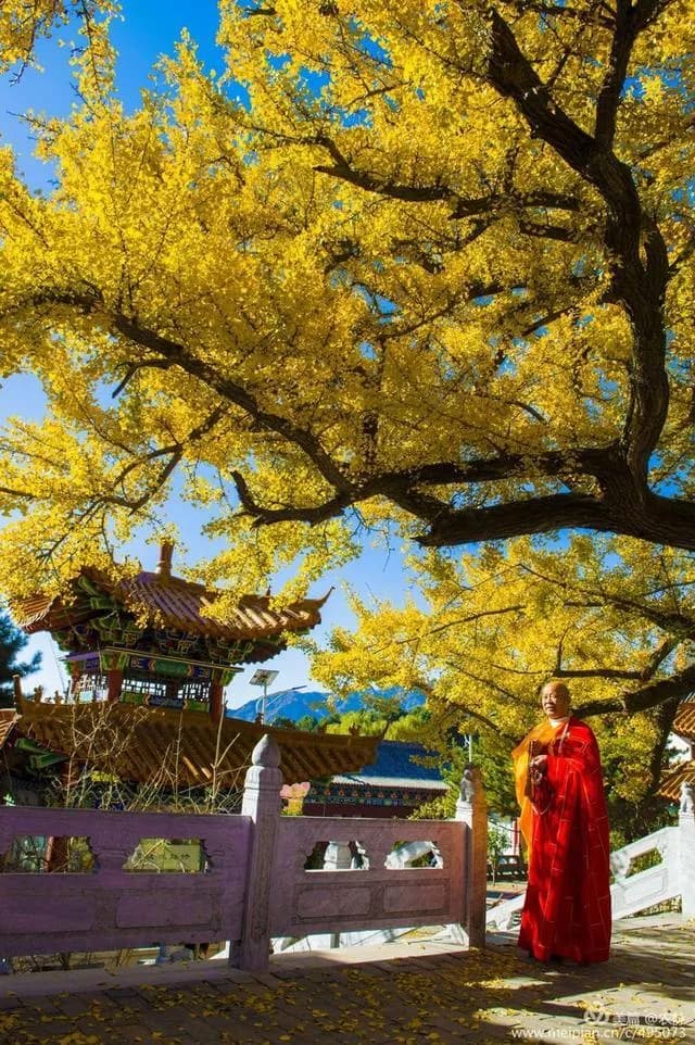 文殊寺