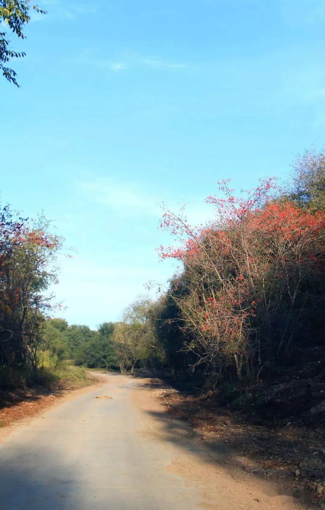 扎兰屯风景名胜区