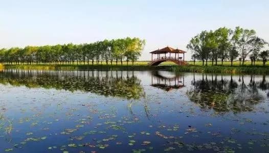 聚龙山生态公园