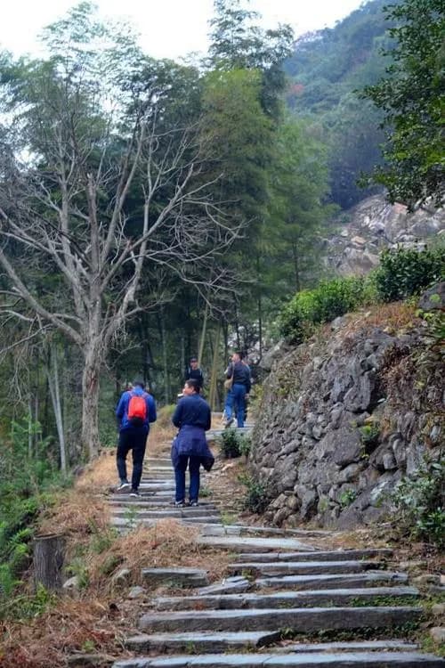 徽池古道
