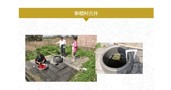 港西上村古井