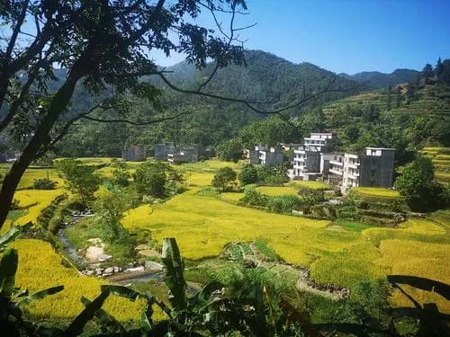 古丁梯田