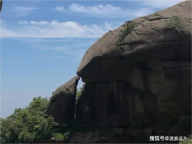 睡美人