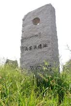把家坪遗址