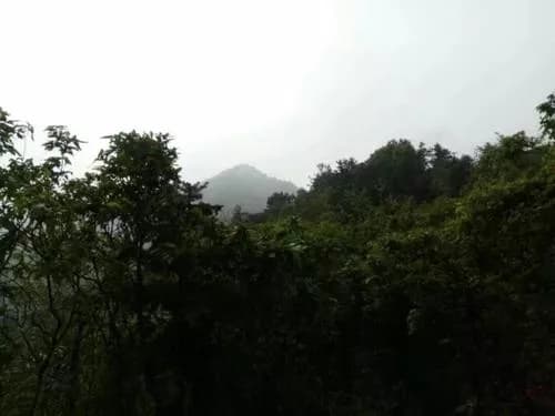 天子岗墓群