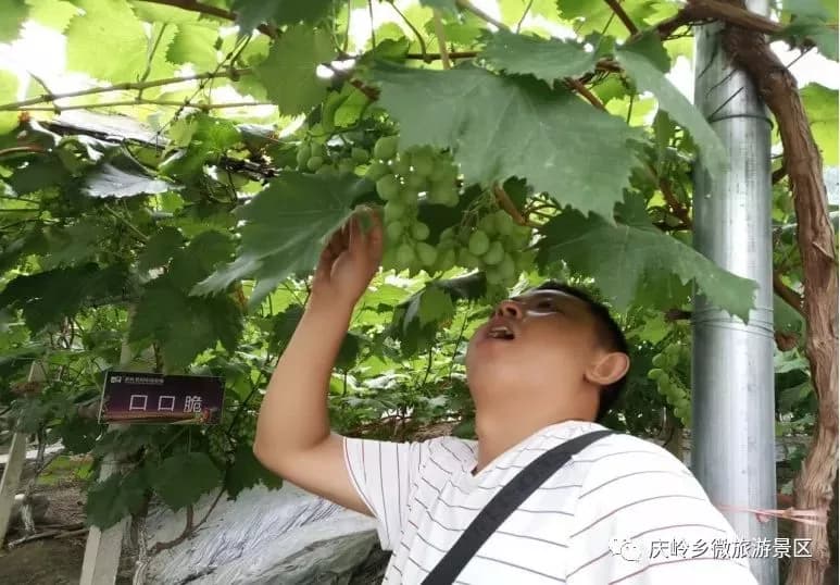 岭·格萨尔王庙