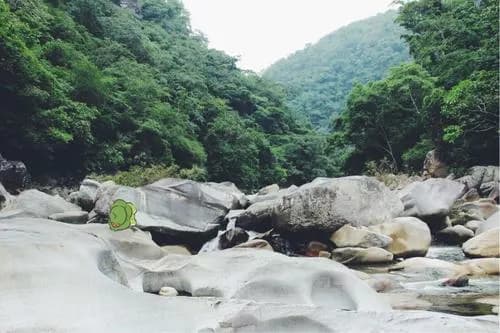 佳西自然保护区
