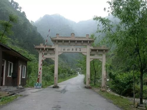 景观路原始森林风景区