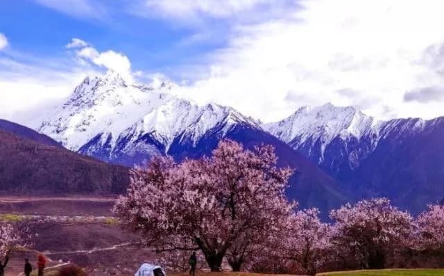 桃花沟景区