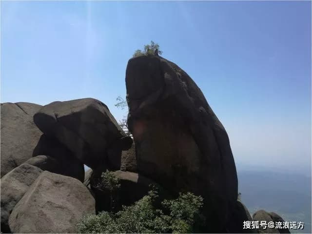 睡美人