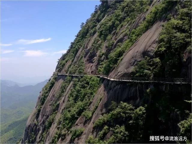 睡美人