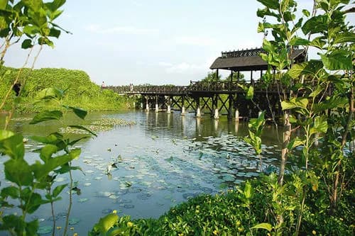 海上田园桃林苑