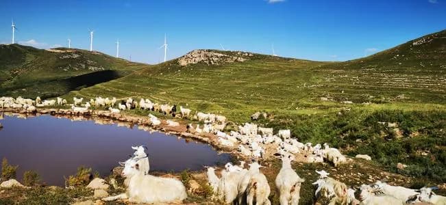 甸顶山