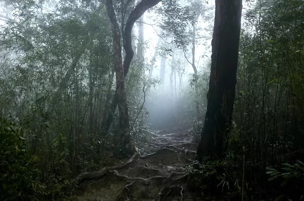 老龙潭、斩蛇崖、五指山景区