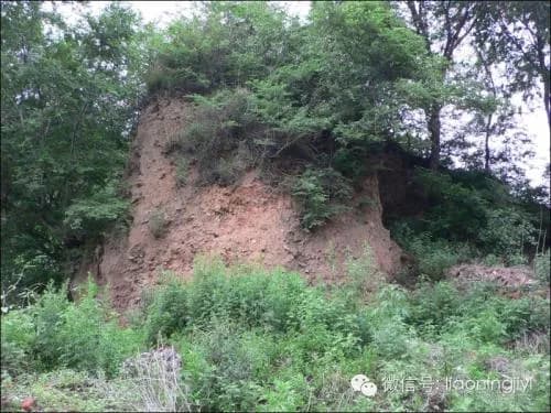 山照遗址
