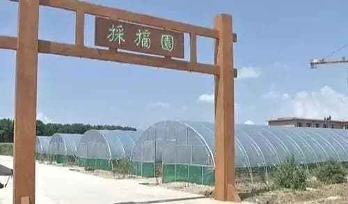红光风景区