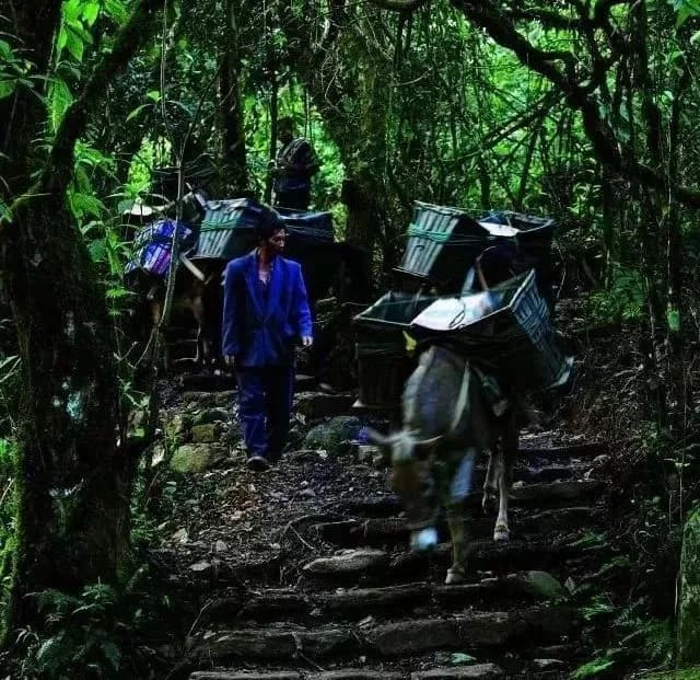 茶马古道-鹦哥嘴