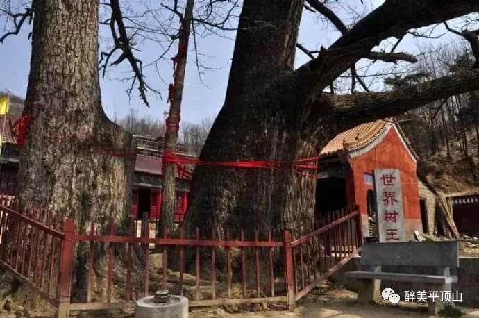 文殊寺