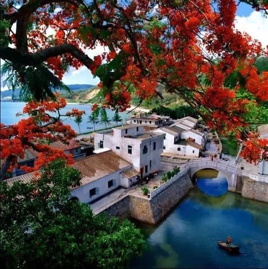 珍珠湾