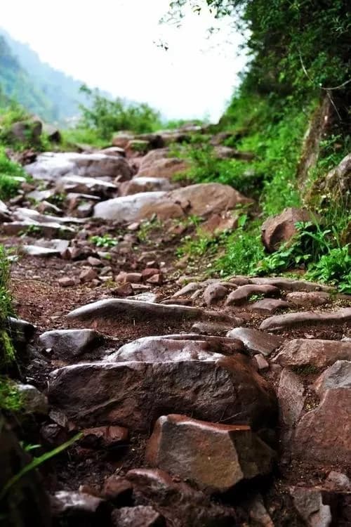 化林坪茶马古道