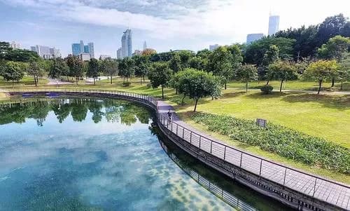深圳中心公园