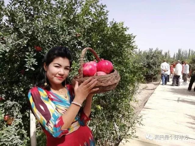 沙漠公路