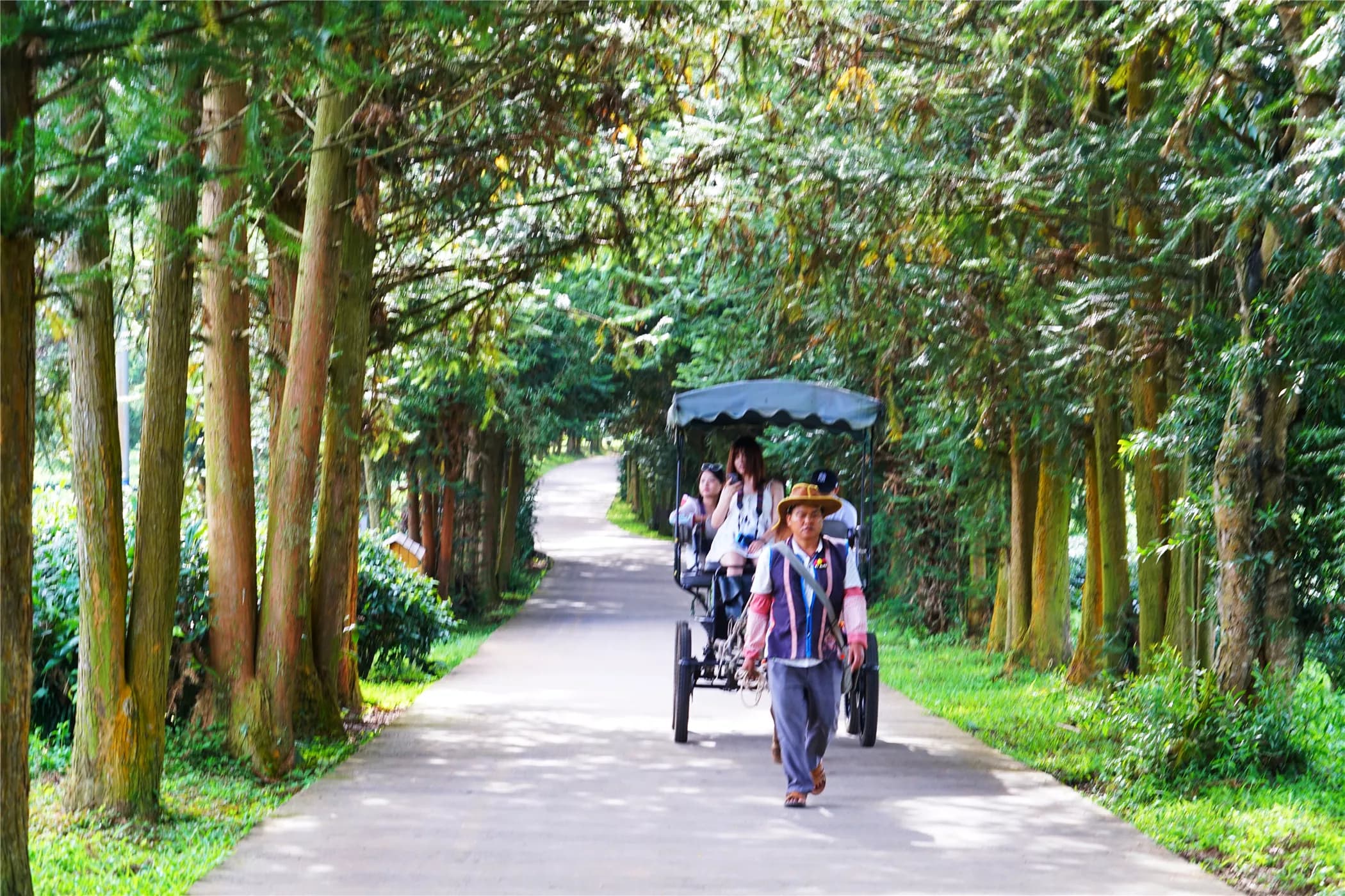 茶马古道-鹦哥嘴