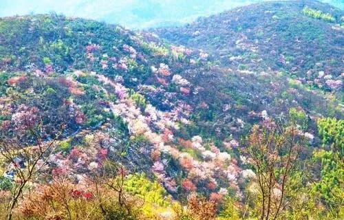 赤壁葛仙山