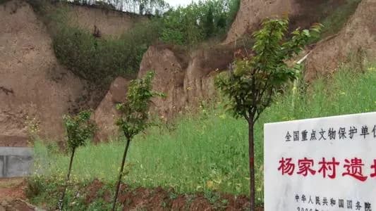 杨家店遗址