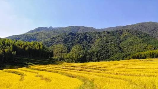 黑山梯田