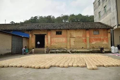 信宜遗址