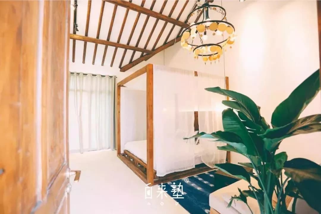 南坑仁和仙桥