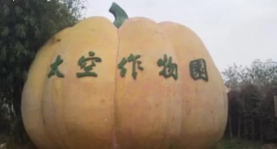 深圳农科太空作物园