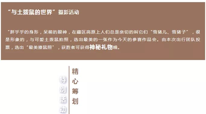 丹巴