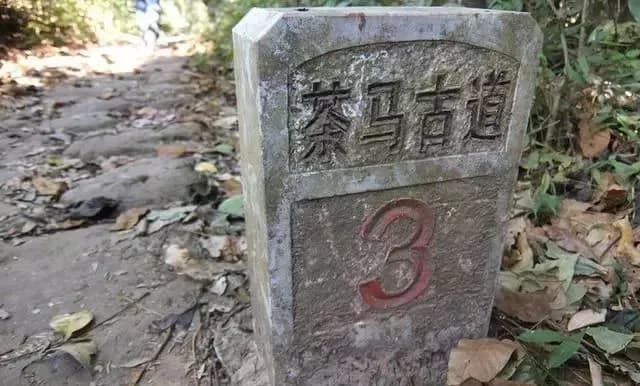 茶马古道-鹦哥嘴