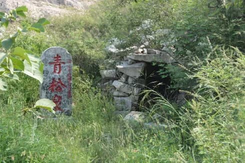 刘家林村