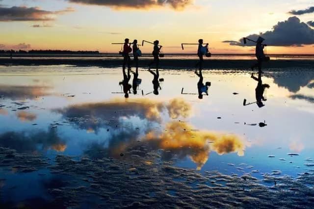 金海湾