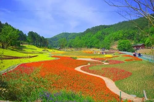 如意花海景观区