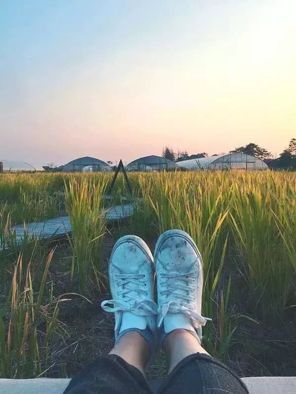南坑仁和仙桥