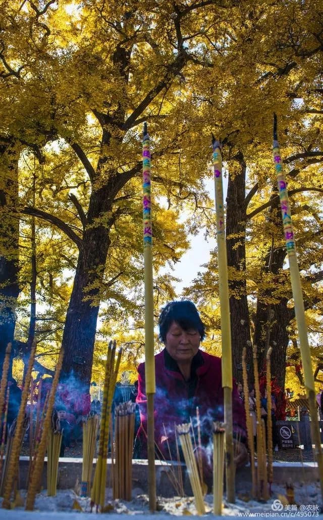 文殊寺